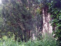 03 Hammersberg Gantzstuckh Miklós